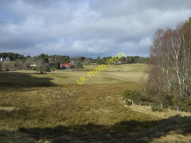 Photo 6"x4" Near Logie Hill Brenachie c2010