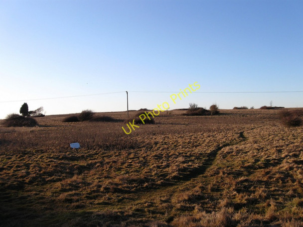 Photo 6"x4" High Field Norman's Bay c2010