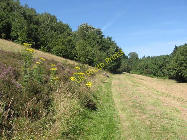 Photo 6"x4" Path to the Ski Slope Pontypool\/Pont-y-pwl c2008