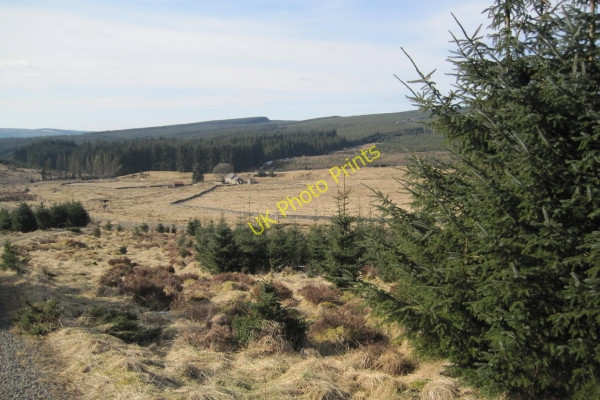 Photo 6"x4" View towards Wainhope Mountain Bothy Wainhope\/NY6792 c2010