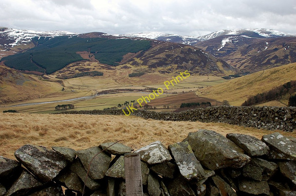 Photo 6"x4" The Tweed Valley from the summit of Wrae Hill Rachan Mill c2010