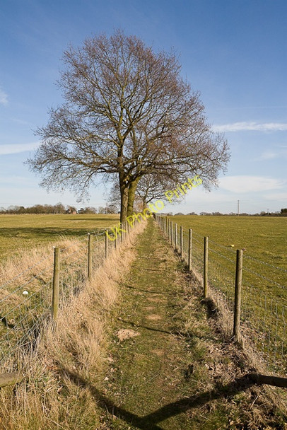 Photo 6"x4" Footpath east of West Horton Farm Eastleigh\/SU4519 c2010