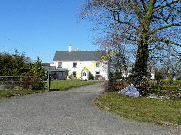 Photo 6"x4" Close Turf House Bream's Meend c2010