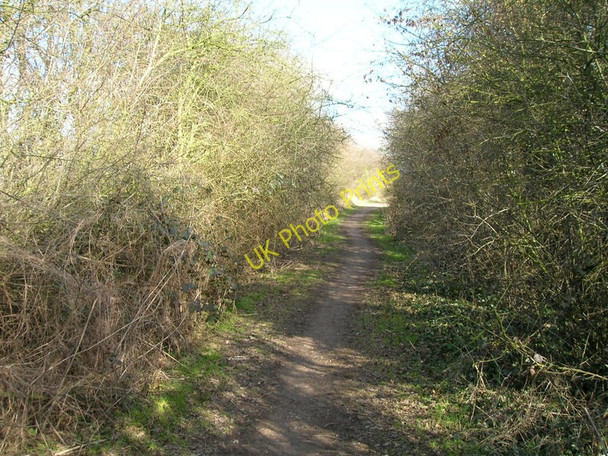 Photo 6"x4" Bridleway to Burton Joyce Lambley\/SK6345 c2010