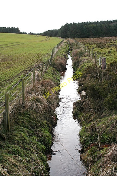 Photo 6"x4" Unnamed Burn Nether Kinmundy c2010