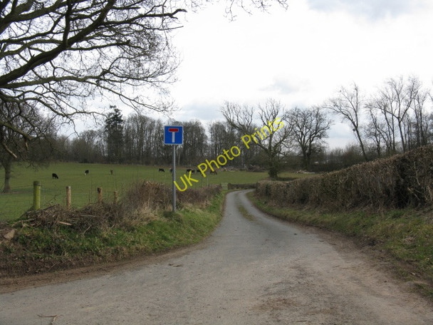 Photo 6"x4" Lane To Burnt House Ashford Bowdler c2010