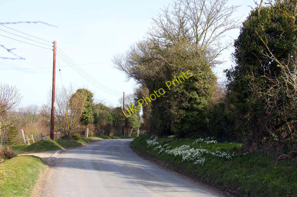 Photo 6"x4" The road to West Hendred by Goldbury Hill West Hendred c2010