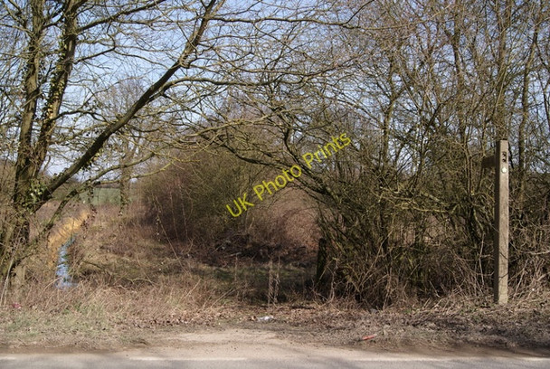 Photo 6"x4" Public footpath Chapel End\/TL5624 c2010