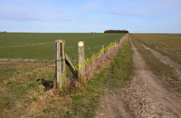 Photo 6"x4" Farm track at West Ginge East Ginge c2010