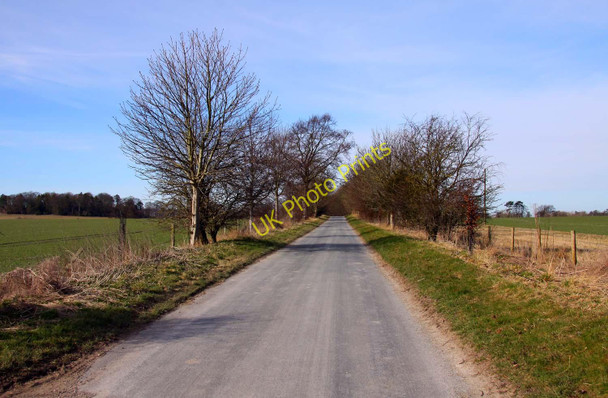 Photo 6"x4" The road to Betterton from West Ginge East Ginge c2010