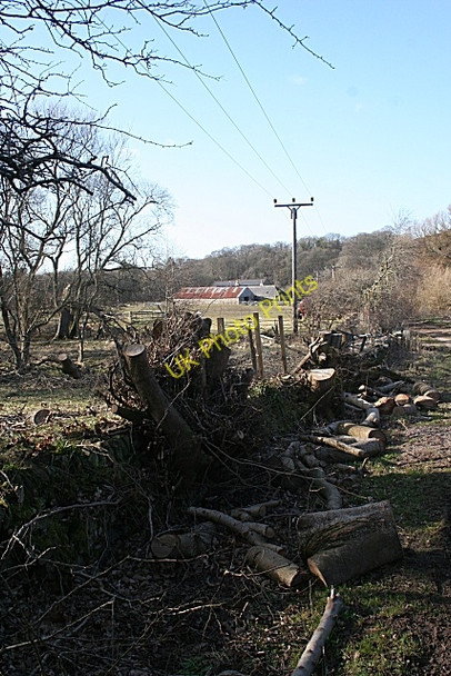 Photo 6"x4" Hedgerow Maintenance Banff\/NJ6864 c2010