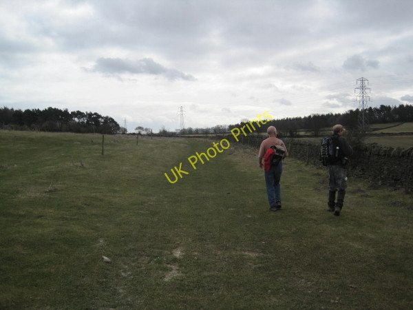 Photo 6"x4" Footpath near West Farm Dilston c2010