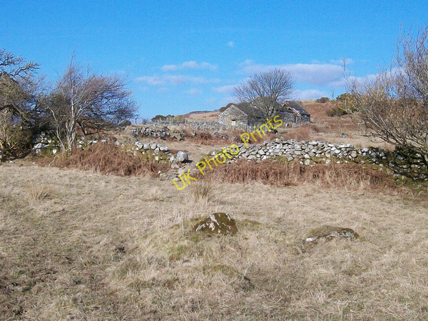 Photo 6"x4" Traditional farm buildings at Ystumcegid Farm Dolbenmaen c2008