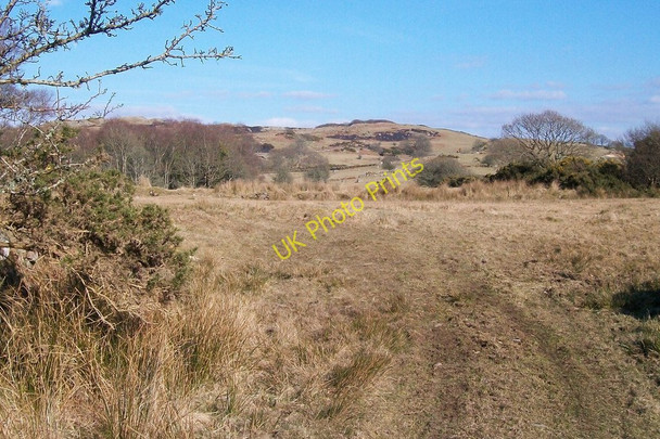 Photo 6"x4" Track leading from the footbridge to Ystum-cegid-ganol farmhouse Rhoslan c2010