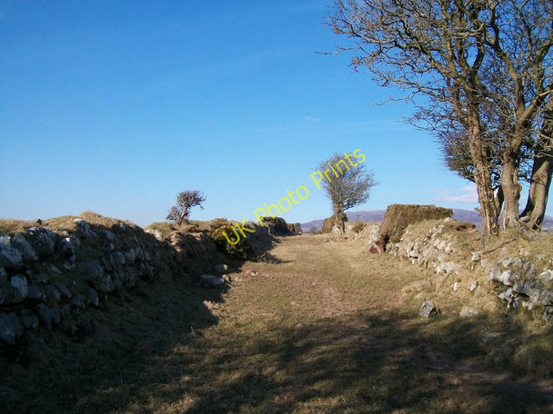 Photo 6"x4" View north along the Cefn-isa green lane Criccieth c2010