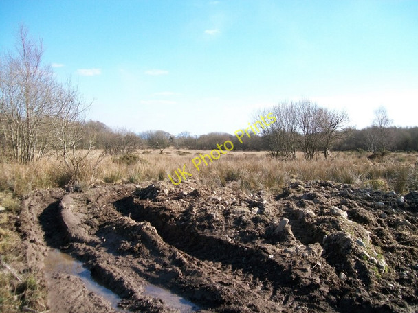 Photo 6"x4" Bogland between the unclassified road and the B4411 Rhoslan c2010