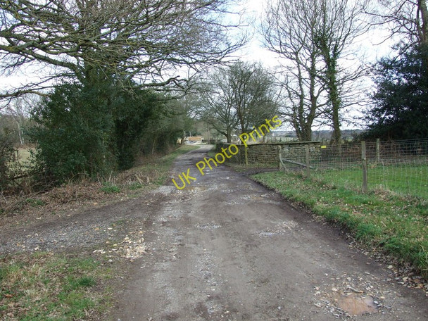 Photo 6"x4" Path Junction on Woodlands Common Woodlands Common c2010