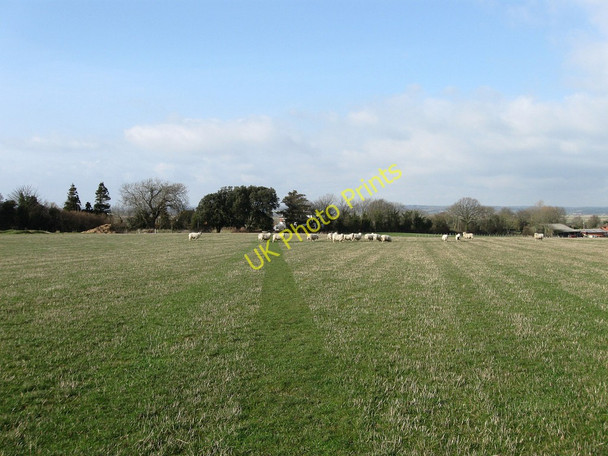 Photo 6"x4" Barn Mead Hankham c2010
