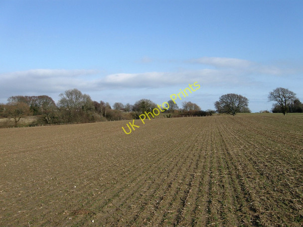 Photo 6"x4" Barn Field Meadow Hankham c2010