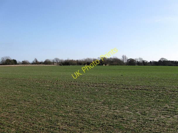 Photo 6"x4" Four Acres Hankham c2010