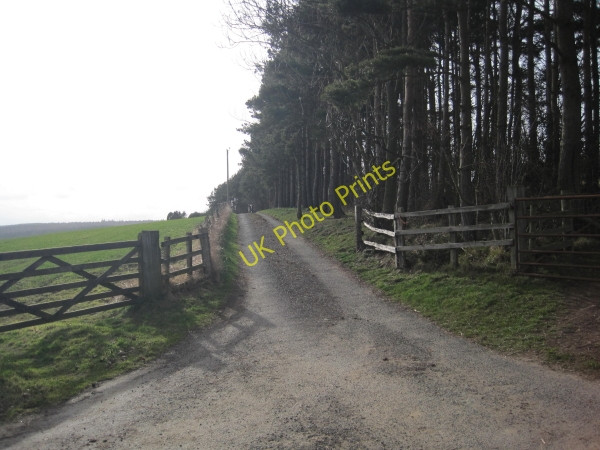Photo 6"x4" Drive leading to Dipton Cottage Beauclerc c2010