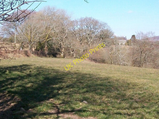 Photo 6"x4" View northwards towards Llwyn yr Eryr farmhouse Rhosgyll c2010