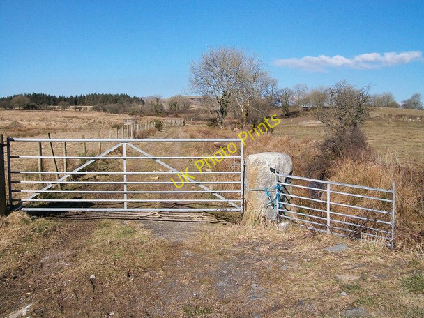 Photo 6"x4" Track leading northwestwards towards the forest near Tyddyn-y-felin Llecheiddior\/SH4743 c2010