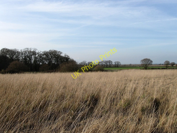 Photo 6"x4" Buck Plot Dittons c2010