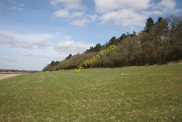 Photo 6"x4" The Ridings Dunstall Common c2010