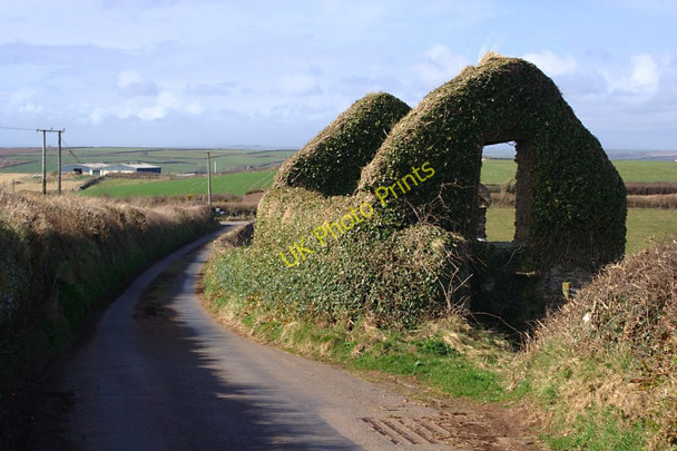 Photo 6"x4" Derelict Barn Bickerton\/SX8138 c2010