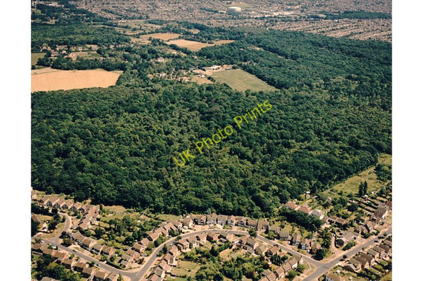 Photo 6"x4" Aerial view of Hadleigh Great Wood (Belfairs Nature reserve) Hadleigh\/TQ8187 c1987