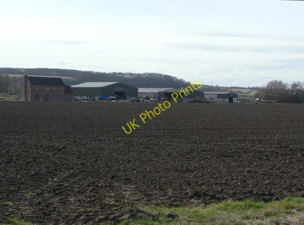 Photo 6"x4" Farm on Bunny Moor Bunny c2010