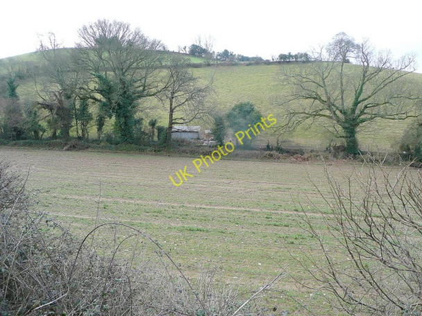 Photo 6"x4" Pasture and arable Coombe\/SY1091 c2010