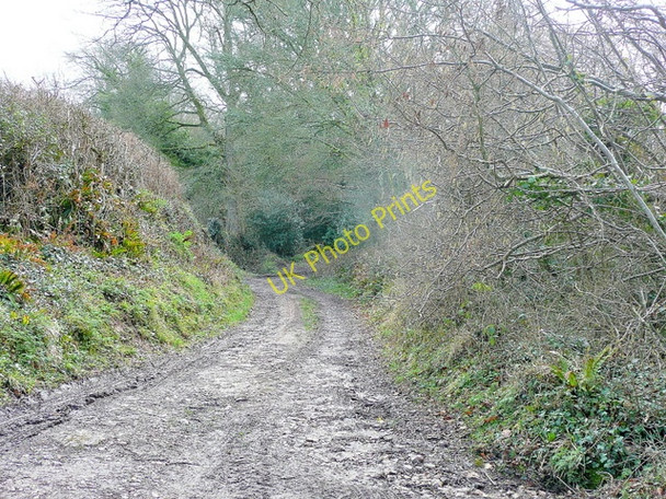 Photo 6"x4" Track south from Coombe Coombe\/SY1091 c2010