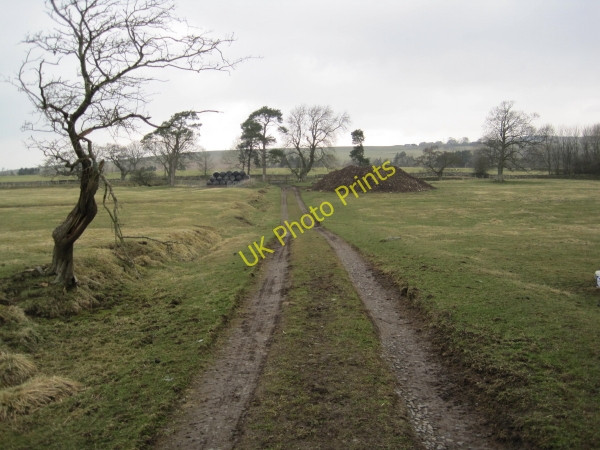 Photo 6"x4" Byway leading to Vindolanda Birkshaw\/NY7765 c2010