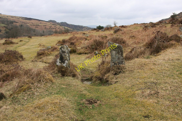 Photo 6"x4" Boundary post Bonehill\/SX7277 c2010