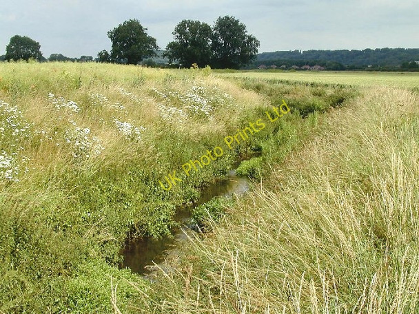 Photo 6"x4" Brook, Bunny Bunny Hill\/SK5728 c2005