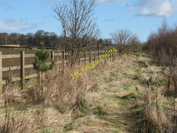 Photo 6"x4" Informal path by the A1 Haddington\/NT5173 c2010