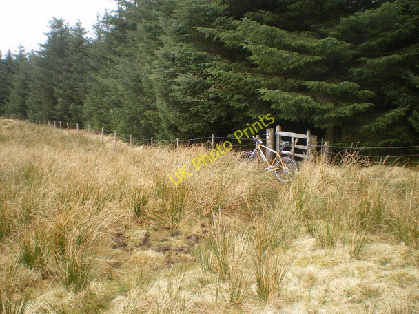Photo 6"x4" Bridleway gate at Graig Llwyd Waun y Sarn c2010