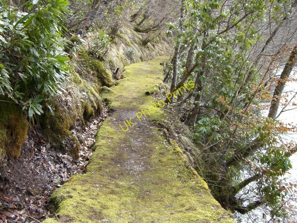 Photo 6"x4" Riverside path at Ardross Cnoc Ruadh c2010