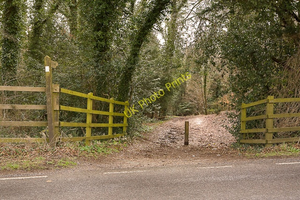Photo 6"x4" Bridleway leaving B3035 Dean\/SU5619 c2010
