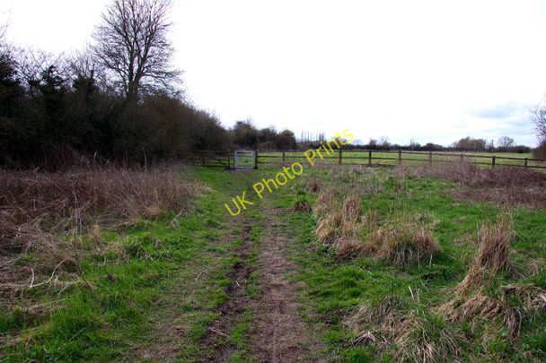 Photo 6"x4" The Thames Path in Cricklade Cricklade c2010