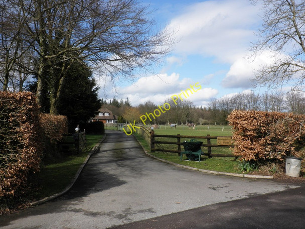 Photo 6"x4" Driveway, Woodlands Farm Saint Hill c2010
