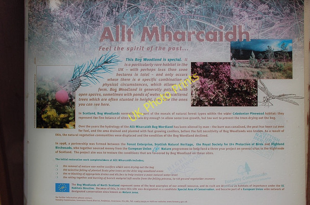 Photo 6"x4" Information board for Allt a Mharcaidh bog woodland Lagganlia c2010