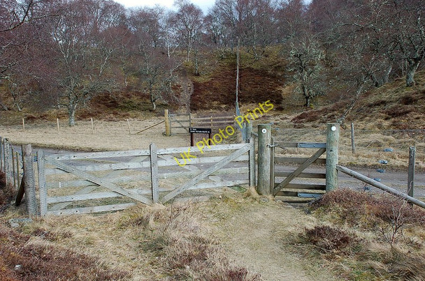 Photo 6"x4" Gates on the nature trail, Insh Marshes Lynchat c2010