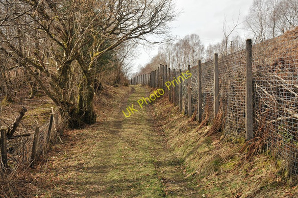 Photo 6"x4" Farm road near Drumsallie and the railway to Mallaig Kinlocheil c2010