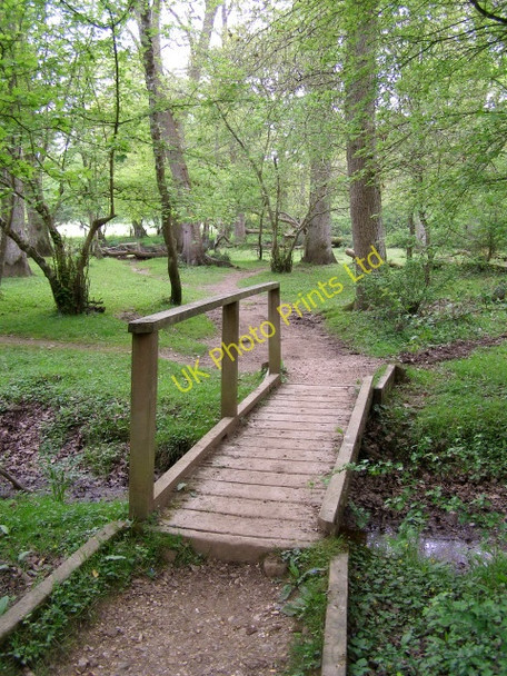 Photo 6"x4" Footbridge in Ivy Wood, New Forest Balmerlawn c2006