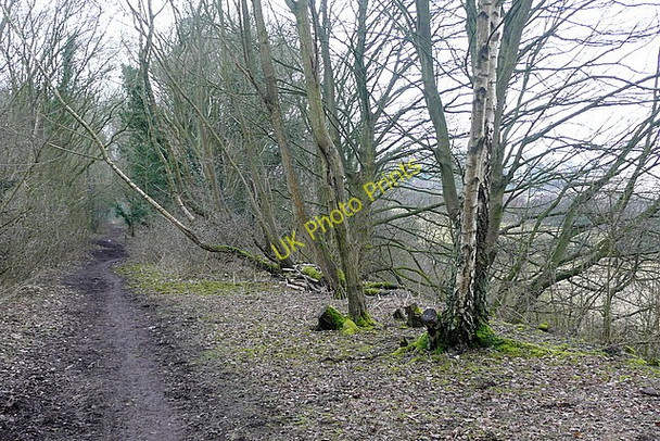 Photo 6"x4" Former railway line Headbourne Worthy c2010