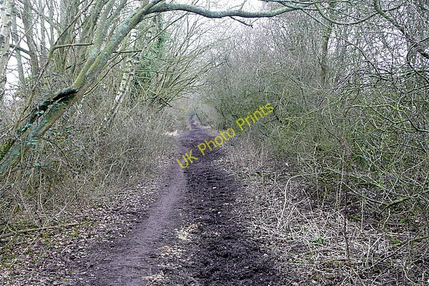 Photo 6"x4" Former railway Kings Worthy c2010