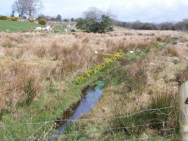 Photo 6"x4" Boggy ground between Cae-du and Ynysleci Llanarmon c2010